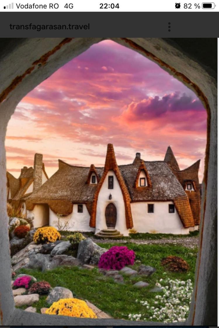 ,, La Maison Concordia " Cincu Extérieur photo