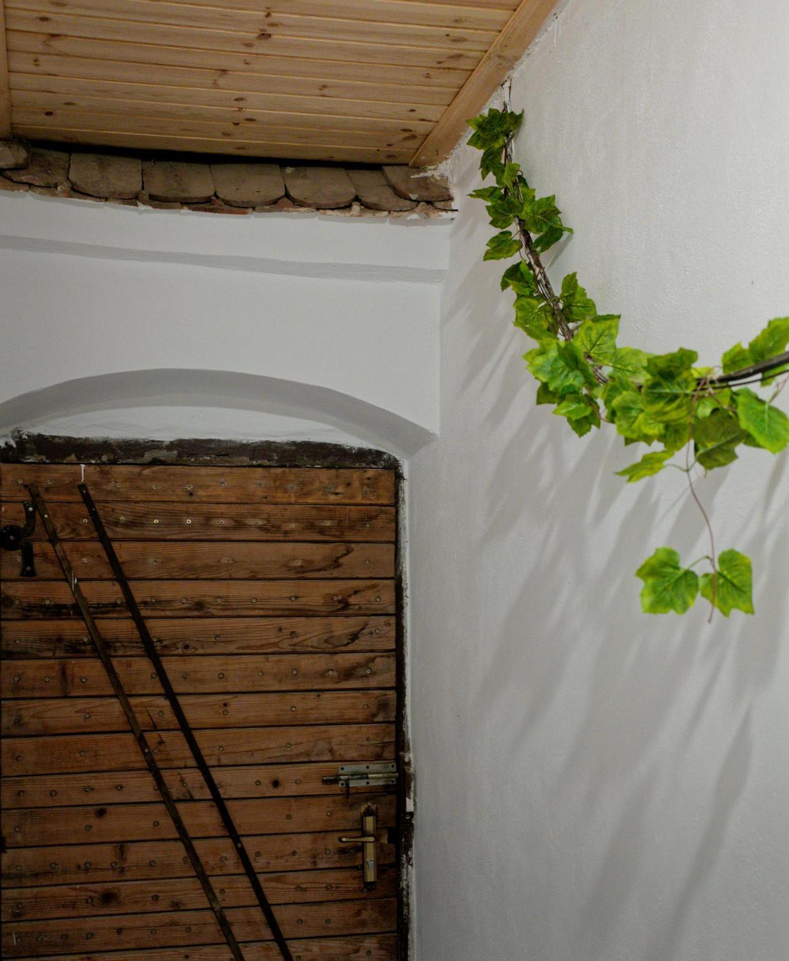 ,, La Maison Concordia " Cincu Extérieur photo