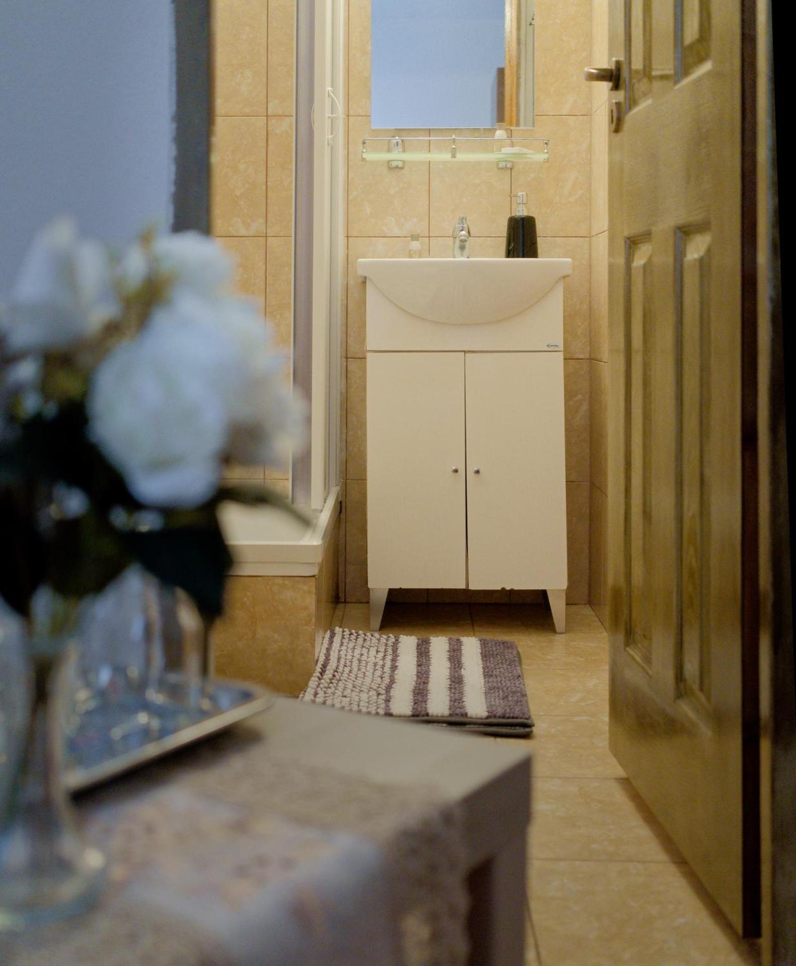 ,, La Maison Concordia " Cincu Extérieur photo